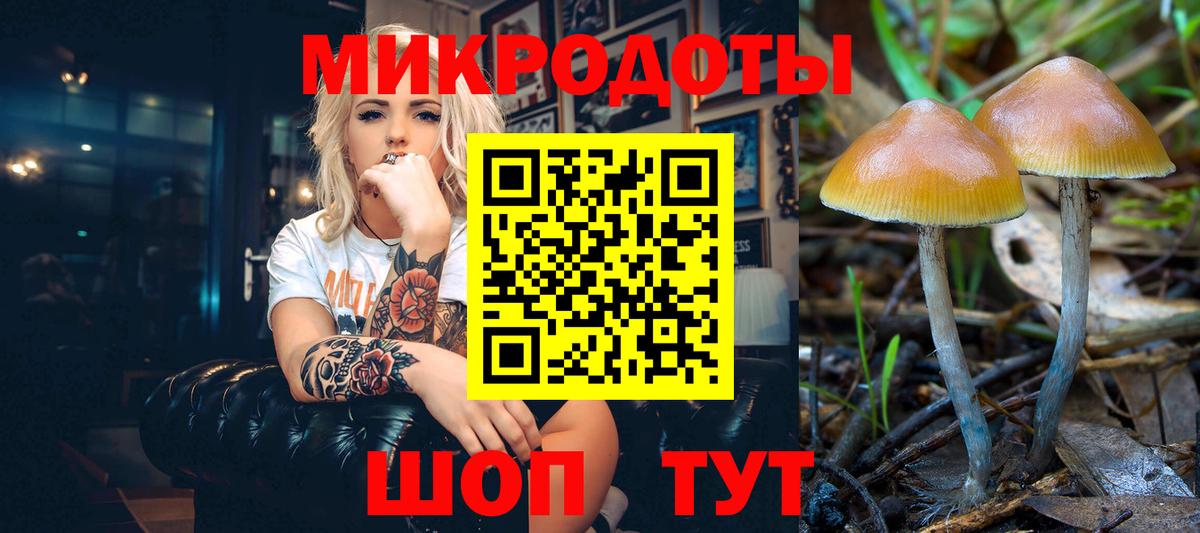 Галлюциногенные грибы Psilocybe Вязники