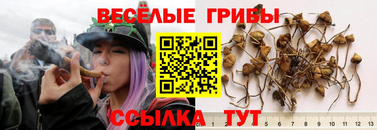 Галлюциногенные грибы мицелий  Вход с VPN  Вязники 
