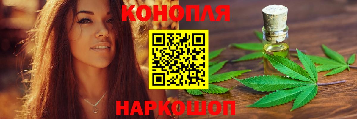 Каннабис OG Kush  Марихуана сатива  Канабис план  Вязники  Вход с VPN 